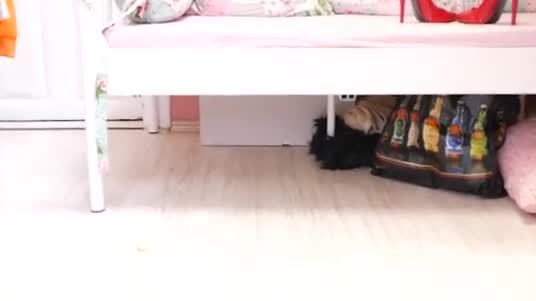 Boy look at me licking my pee drinking pee and wanking wet horny amateur pussy